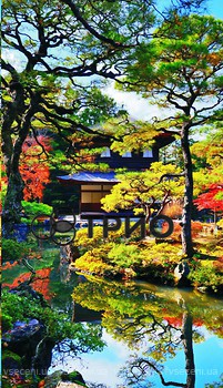 Фото Trio Японский сад