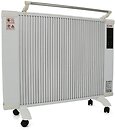 Фото Voltronic NK-TXW600