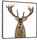 Фото Klarstein Wonderwall Air Art Smart (10037831)