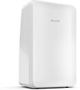Фото Sharp UD-T104AP-W