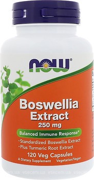 Фото Now Foods Boswellia Extract 250 мг 120 капсул (04614)