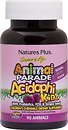Фото Nature's Plus Animal Parade Acidophi Kidz Chewable со вкусом ягод 90 таблеток (29969)