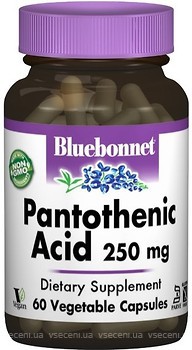 Фото Bluebonnet Nutrition Pantothenic Acid (B5) 250 мг 60 капсул (BLB0468)