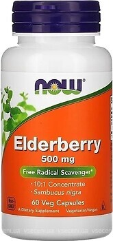 Фото Now Foods Elderberry 500 мг 60 капсул