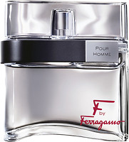 Фото Salvatore Ferragamo F by Ferragamo pour homme 100 мл