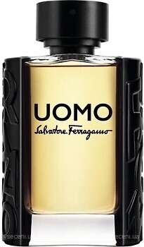 Фото Salvatore Ferragamo Uomo 100 мл