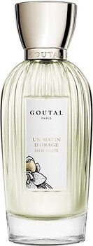 Фото Annick Goutal Un Matin d'Orage EDT 100 мл (запасной флакон)