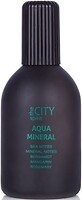 Фото The City Spirit Aqua Mineral 115 мл