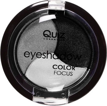 Фото Quiz Cosmetics Color Focus Eyeshadow 3-Colour 302