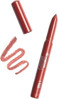 Фото Bogenia Velvet Waterproof Matte Lipstick BG730 001 Plum Juice