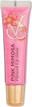 Фото Victoria's Secret Flavored Lip Gloss Pink Mimosa