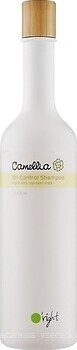 Фото O'right Camellia Oil-Control Камелия регулирующий 400 мл