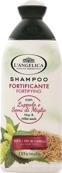 Фото L'Angelica Officinalis Укрепляющий для всех типов волос 250 мл