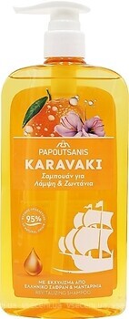 Фото Karavaki Papoutsanis Shine & Vitality Интенсивный блеск 600 мл