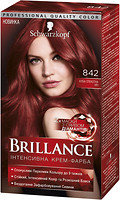 Фото Schwarzkopf Brillance 842 Куба жаркая ночь