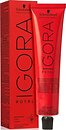 Фото Schwarzkopf Professional Igora Royal 3-22 темно-каштановый