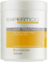 Фото TICO Professional Expertico Hair Treatment для всех типов волос 1000 мл