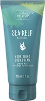 Фото Scottish Fine Soaps крем для тела Sea Kelp Marine Spa Nourishing Body Cream 200 мл