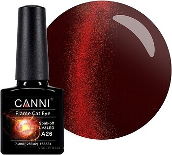 Фото Canni Flame Cat Eye Gel Polish №A26