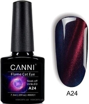 Фото Canni Flame Cat Eye Gel Polish №A24