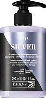 Фото Black Professional Line Toner Silver серебро