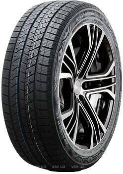 Фото Doublestar Winterking DW16 (225/45R19 96T XL)