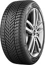 Фото Dunlop Winter (255/45R20 105V XL)