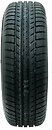 Фото Minerva Polarice 1 (175/80R14 88T)