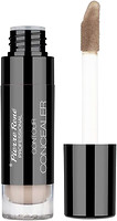 Фото Pierre Rene Contour Concealer №05