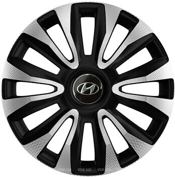 Фото Racing4 Avalon Carbon silver/black Hyundai 14