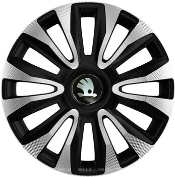 Фото Racing4 Avalon Carbon silver/black Skoda 15