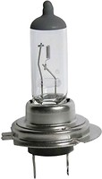 Фото Bosch Pure Light H7 12V 55W (1987301012)