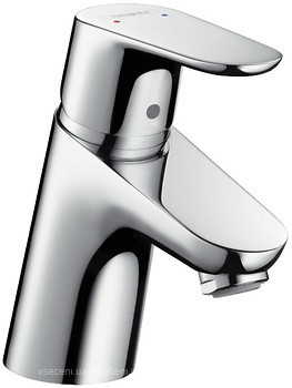 Фото Hansgrohe Focus 31951000