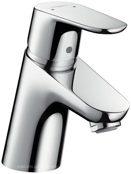 Фото Hansgrohe Focus 31952000