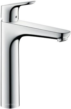 Фото Hansgrohe Focus 31658000