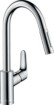 Фото Hansgrohe Focus 31833000