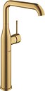 Фото Grohe Essence 24170GN1