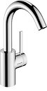 Фото Hansgrohe Zesis S 210 74742000