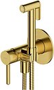 Фото Omnires Y brushed brass (SYSYBI2BSB)