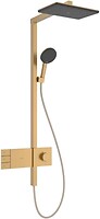 Фото Hansgrohe Raindance Alive Q (24591140)