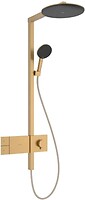 Фото Hansgrohe Raindance Alive S (24582140)
