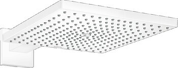 Фото Hansgrohe Raindance E (26239700)