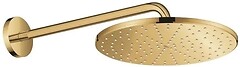 Фото Grohe Rainshower 310 Mono (26558GL0)