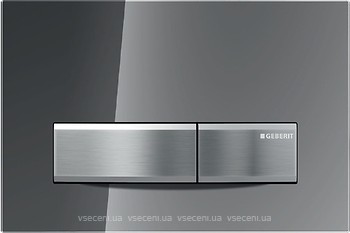 Фото Geberit Sigma50 зеркальная (115.788.SD.5)