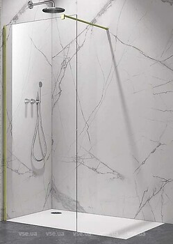 Фото Armaform Rio Grande Walk-In (113-40636)