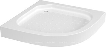 Фото RJ Tulip (100RZ081(2))