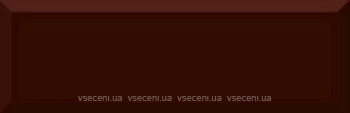 Фото Absolut Keramika плитка настенная Monocolor Biselado Marron Brillo 10x30