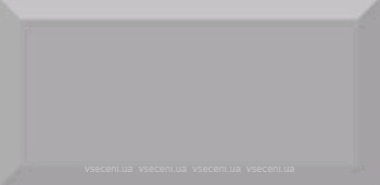 Фото Absolut Keramika плитка настенная Monocolor Biselado Plata Brillo 10x20