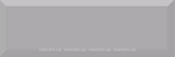 Фото Absolut Keramika плитка настенная Monocolor Biselado Plata Brillo 10x30