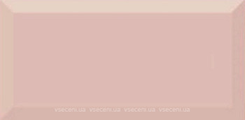 Фото Absolut Keramika плитка настенная Monocolor Biselado Salmon Brillo 10x20